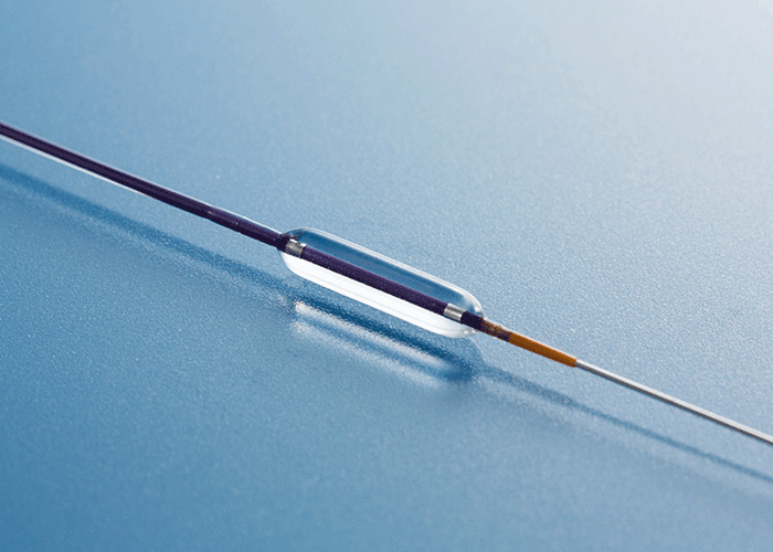 Kaneka PTCA Catheter CO-R8