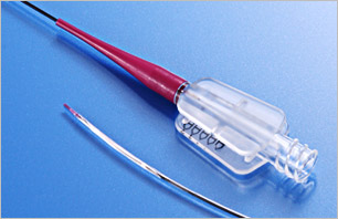bp22 image
