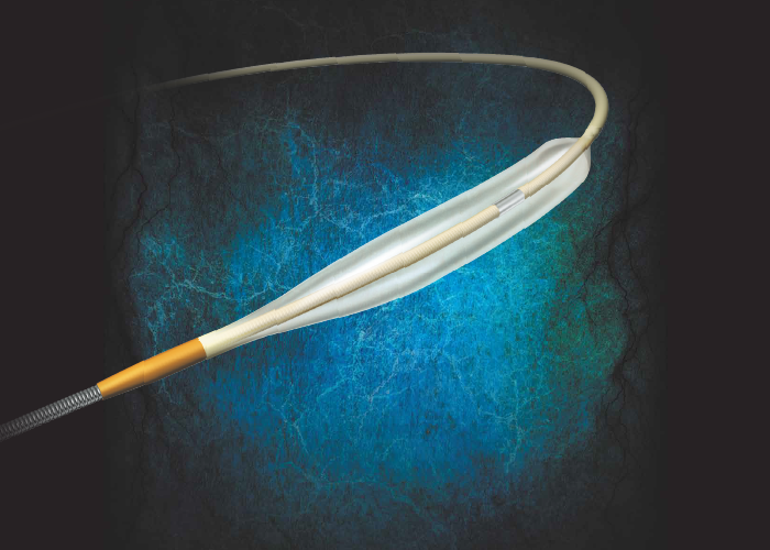 カネカＰＴＣＡカテーテル　迅雷－ＺＩＮＲＡＩ－　