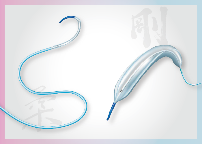 カネカＰＴＡカテーテルＰＥ－Ｗ８