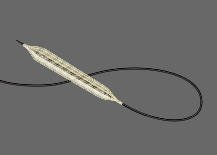 カオリちゃん様確認用 カオリちゃん様確認用 カオリちゃん様確認用 文房具