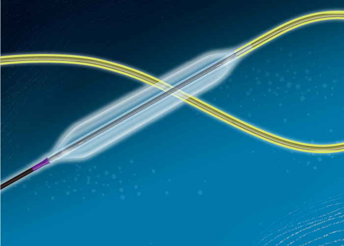 カネカＰＴＡカテーテル　ＰＥ－Ｗ４