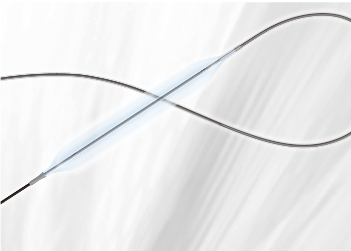 カネカＰＴＡカテーテル　ＰＥ－Ｗ７