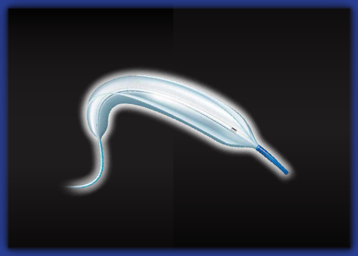 カネカＰＴＡカテーテルＰＥ－Ｗ９