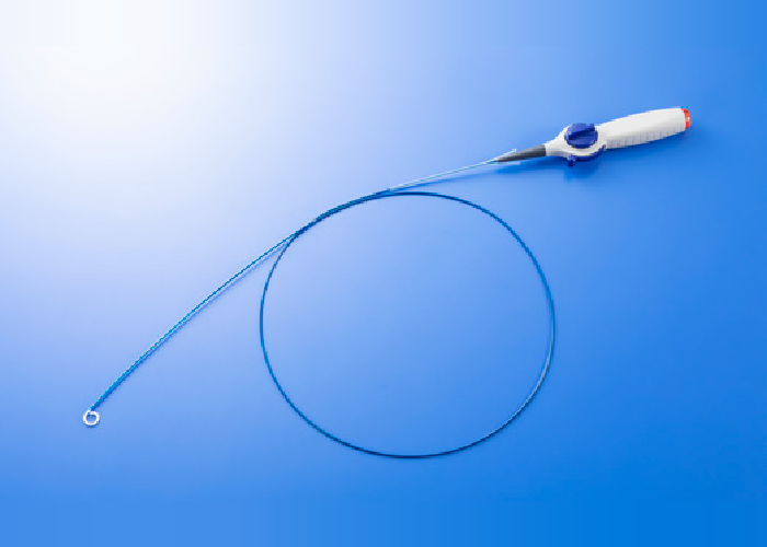 カネカ電極カテーテル