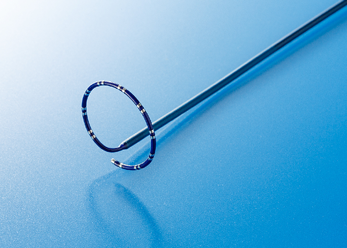 カネカループ型電極カテーテル