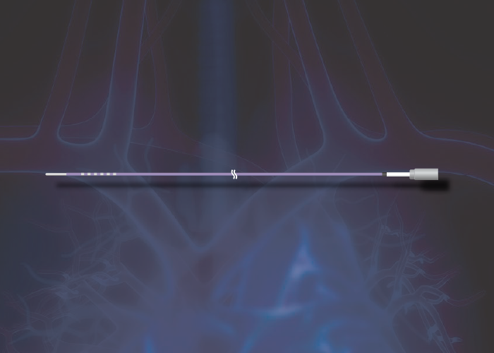 エフエムディ　ガイドワイヤー型電極カテーテル