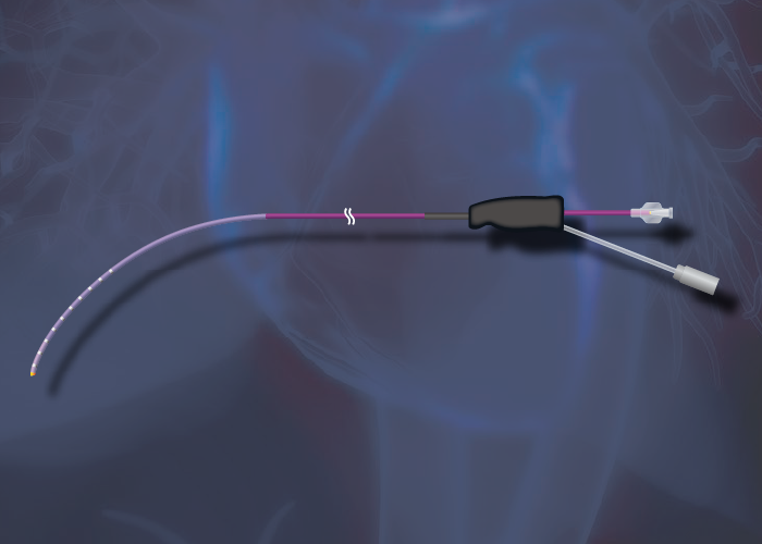 エフエムディ　ルーメン付き電極カテーテル