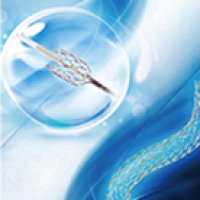 ゼオステント　プラス