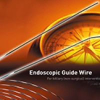 パイオラックス親水性ガイドワイヤーLZ