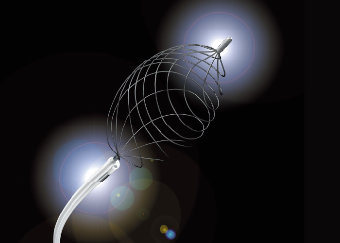 カネカ採石バスケット　RASEN