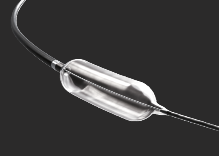 カネカ気管支拡張カテーテル ＢＲーＮ１